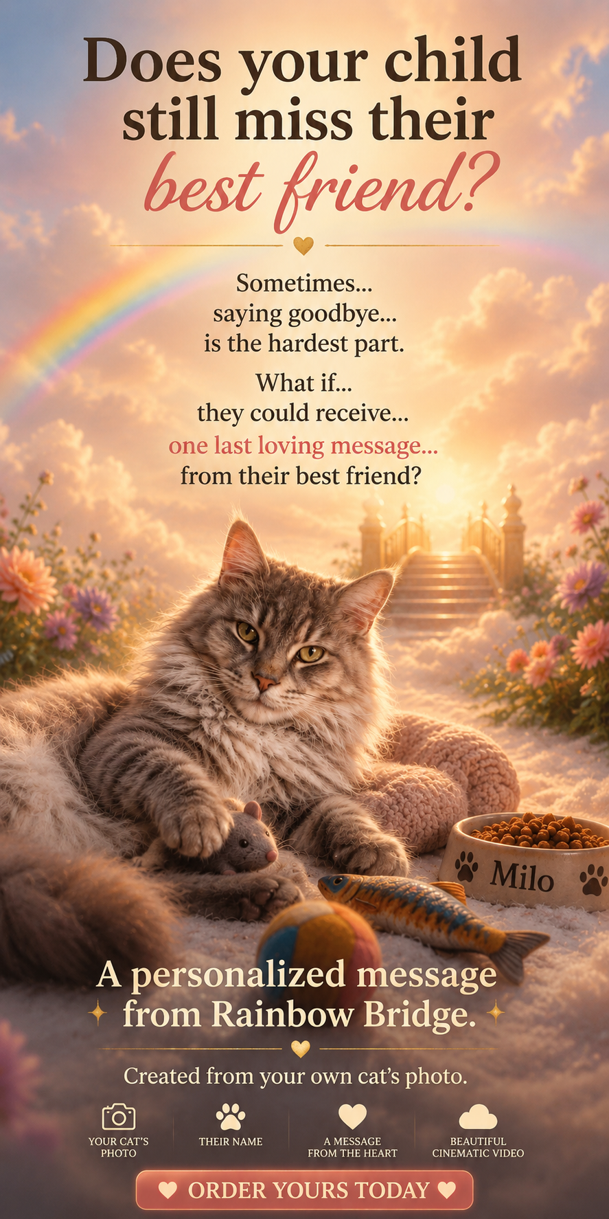Personalized Rainbow Bridge Cat Memorial Video | Talking Cat Tribute | Pet Loss Gift | Custom Voice Message | Keepsake After Loss
